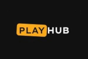 playhub-game-provider.webp
