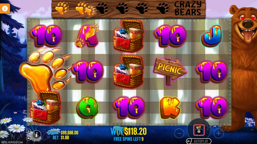 bear-crazy-bear-paw