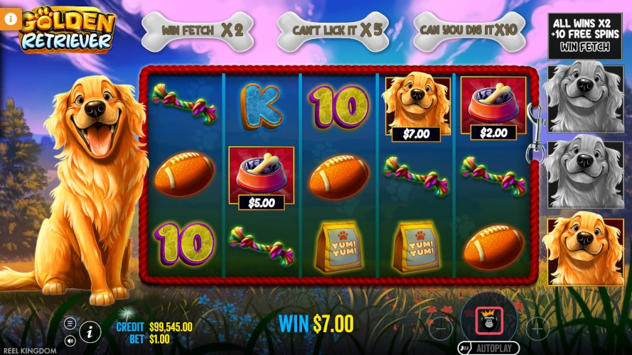 golden-retriever-win-7.00-fs-round