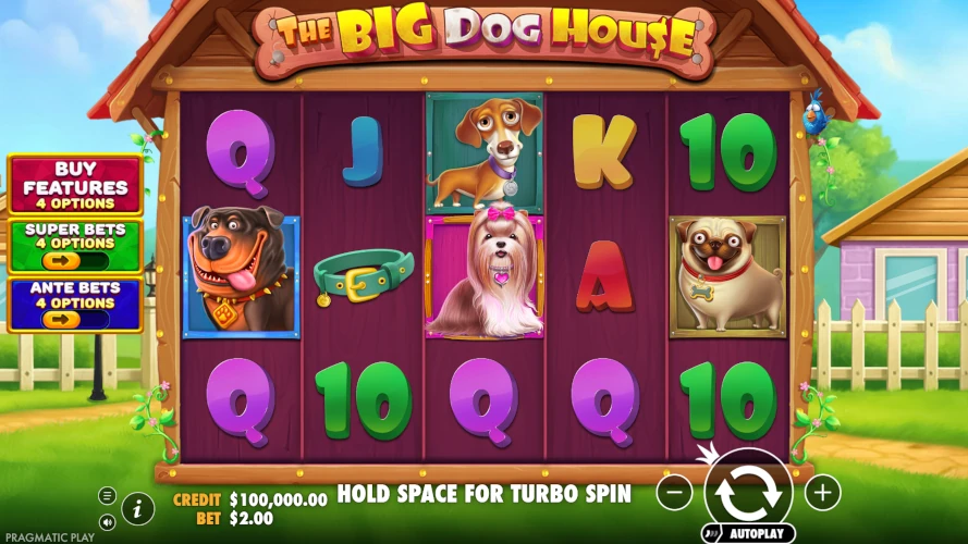 the-big-dog-house-base-game